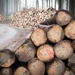 Добровольная сертификация: преимущества и особенности для бизнеса